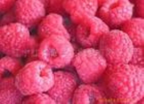 Red Raspberry   Anthocyanin